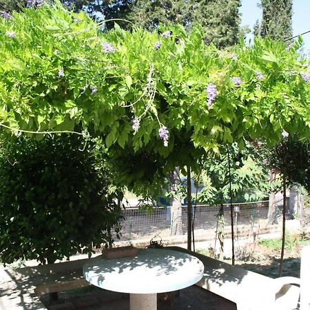 B&B Al Frantoio Chiusi Extérieur photo