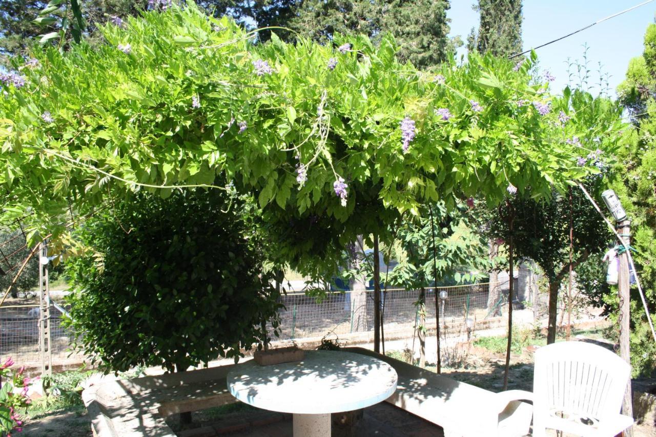 B&B Al Frantoio Chiusi Extérieur photo
